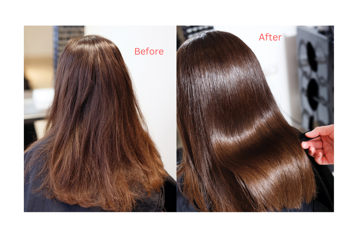 Moroccan Sidr Powder: The Natural Choice for Skin and Hair